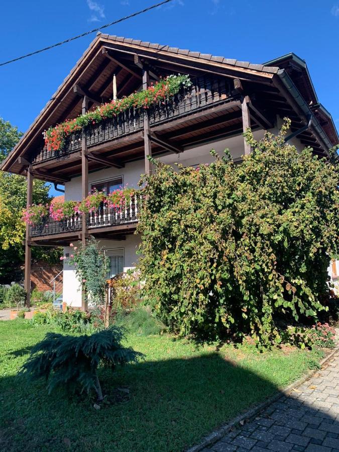 Gaestehaus Zum Rhein Rheinhausen Exterior photo